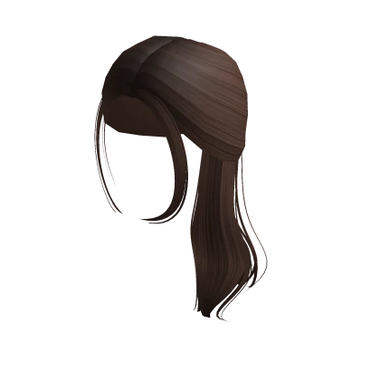 Cute Brown Low Aesthetic Ponytail