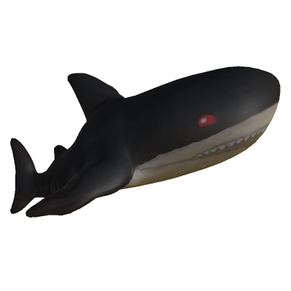 Shark