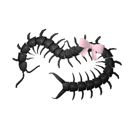 cute core creepy centipede pet pink bow 