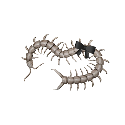 cute core creepy centipede pet bow white