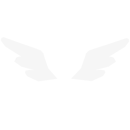 Anarchy Angel Wings