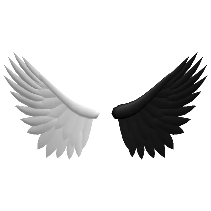 Black and White Wings