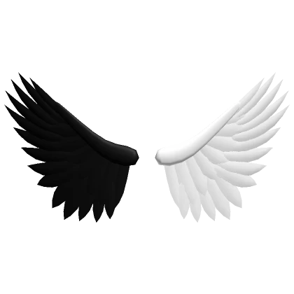 Black and White Wings