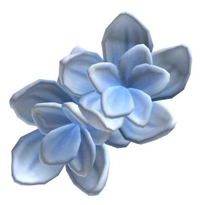 Summer Blue Hibiscus Cute Head Flowers