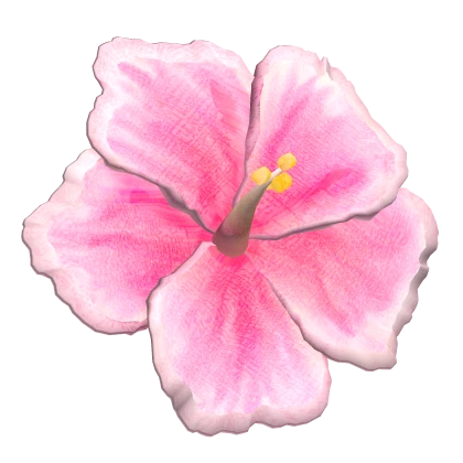 Summer Hibiscus Beach Flower