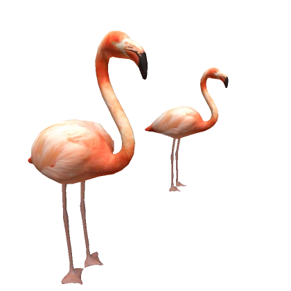 Flamingo Bodyguards