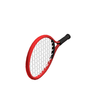 Holdable Tennis Racket