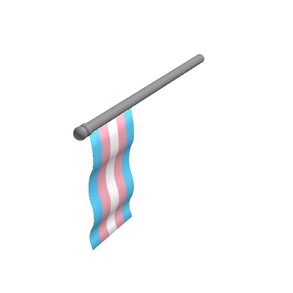 Holdable Transgender Pride Flag