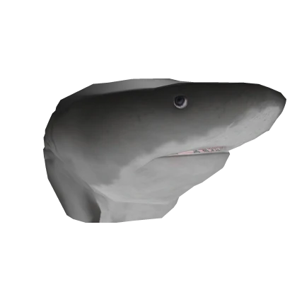 Realistic Tiger Shark Head