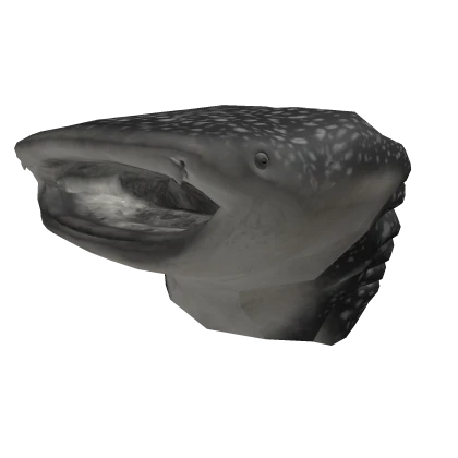 Realistic Whale Shark Head