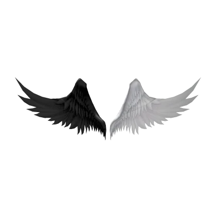black & white angel wings