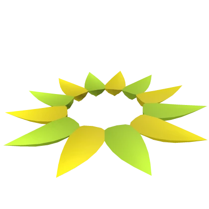 Colorful Collar