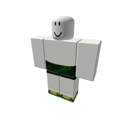 green army shorts w “brazil” dunks