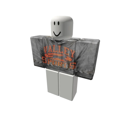 Grey/Orange Valley Sports Hoodie