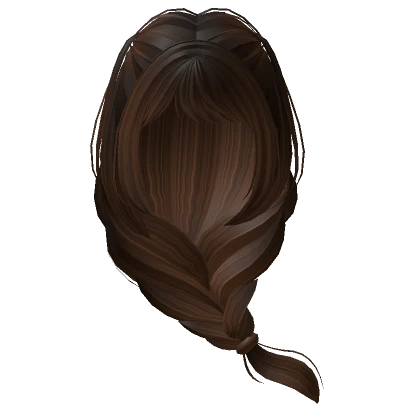 Low Braided Hair in Brown