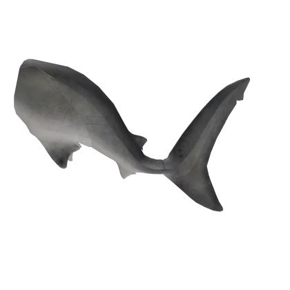 Realistic Megalodon Tail