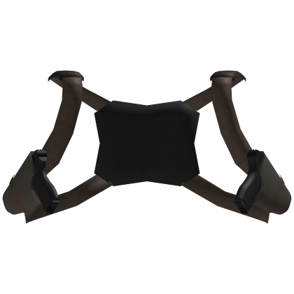 Tactical Holsters (BACK)