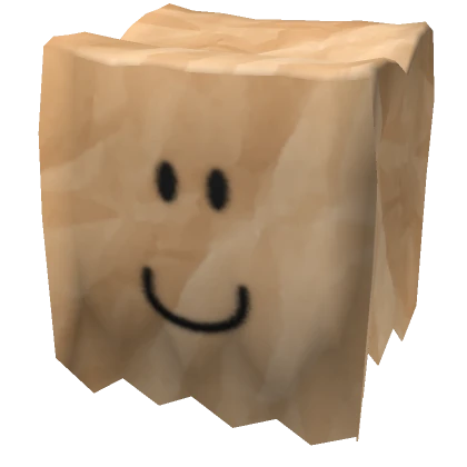 Silly Paper Bag Head