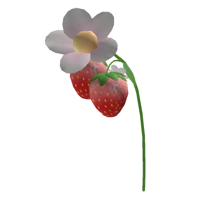 Strawberry Harvest Stalk - Unripe Red