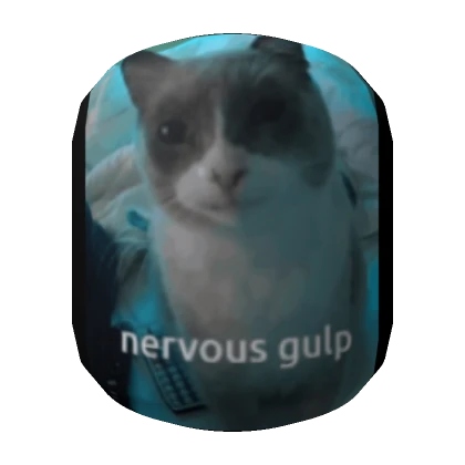 Cat Profile Picture PFP