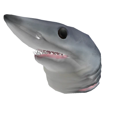 Mako Shark Head