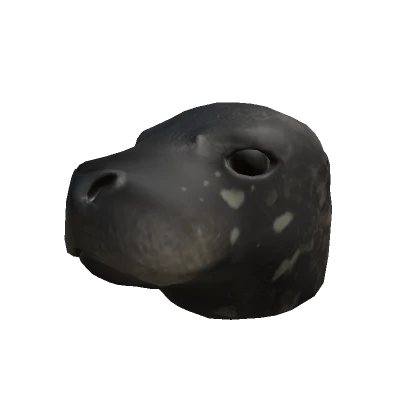 Harbor Seal Head (Dark)