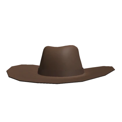 Cowboy Hat