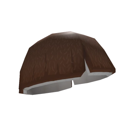 Coconut Shell Hat