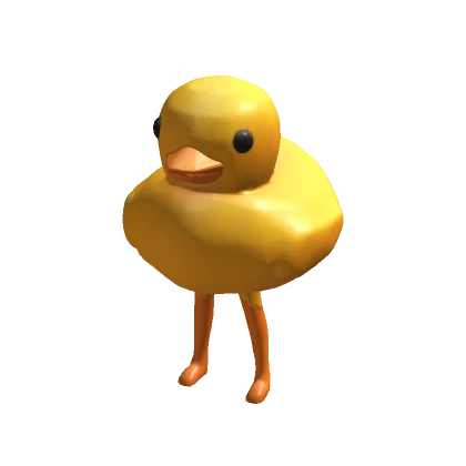 Big Duck Suit