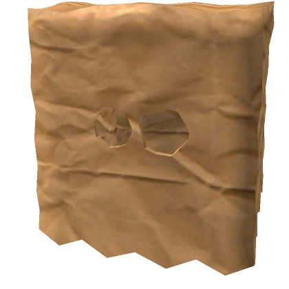 Paper Bag