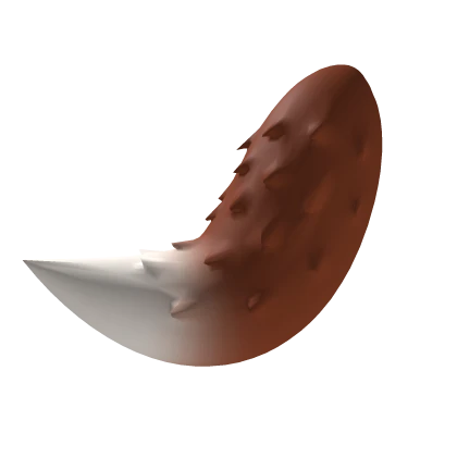 Brown Fluffy Tail
