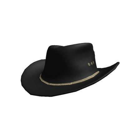 Cowboy Hat