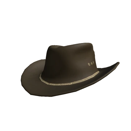 Brown Cowboy Hat