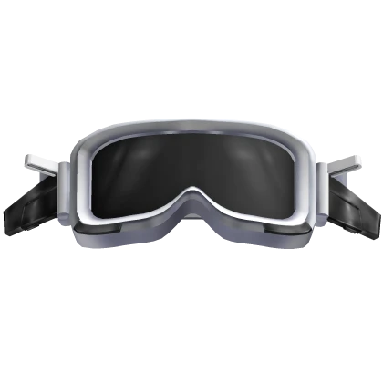 Silver Cyber Goggles on Head