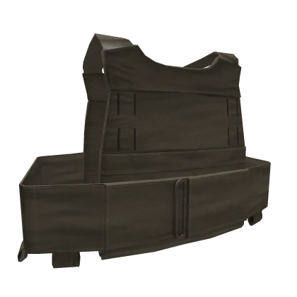 Tan Speedster Plate Carrier 