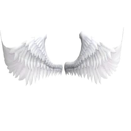 angel wings