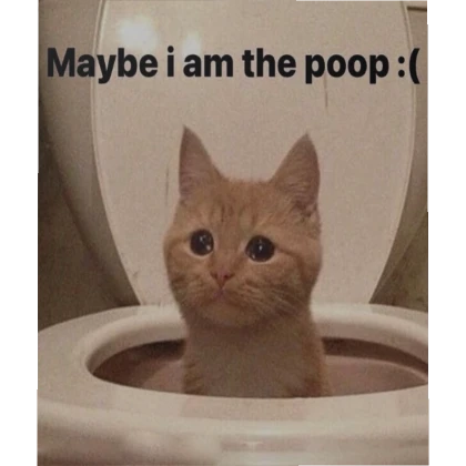 Maybe i am the poop :(