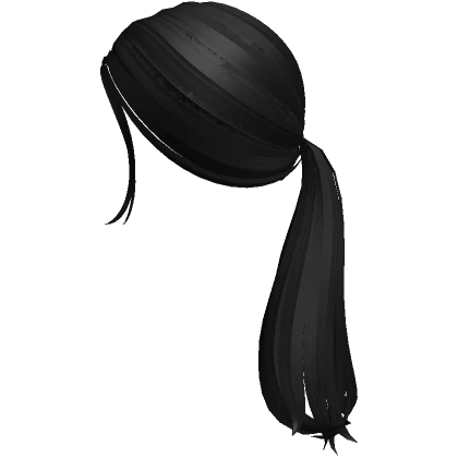 Aesthetic Low Ponytail ( Black )