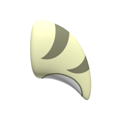 Sand Shark Fin