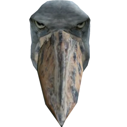 Angry Shoebill