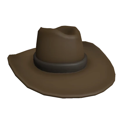 Cowboy Hat