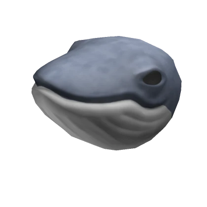 Whale 