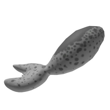 Harbor Seal Tail
