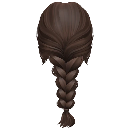 Soft Messy Braid in Brown