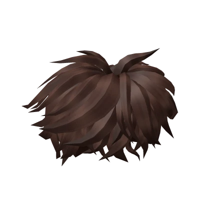 Brown Messy Hairstyle