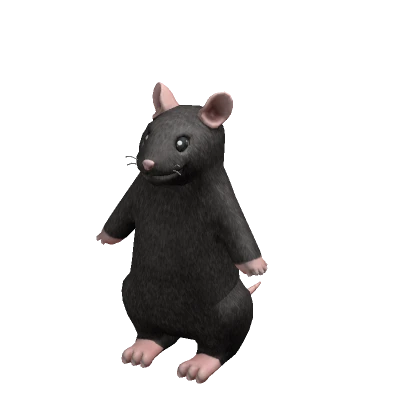 Rat Suit