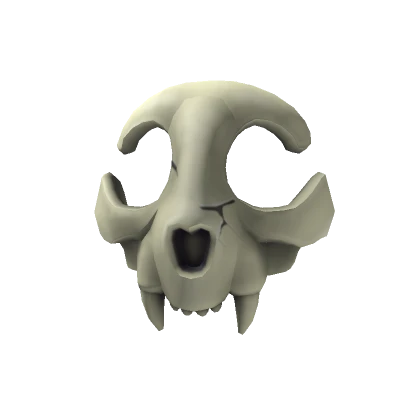 Cat Skull