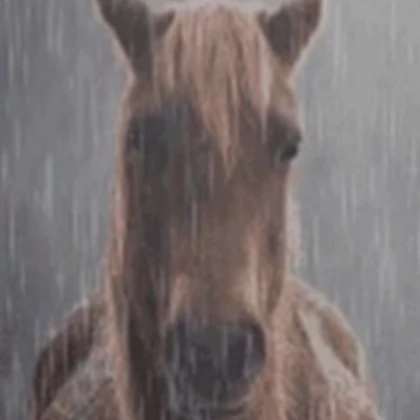 sad horse PFP (profile picture)