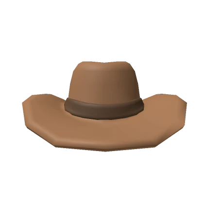 Cowboy Hat