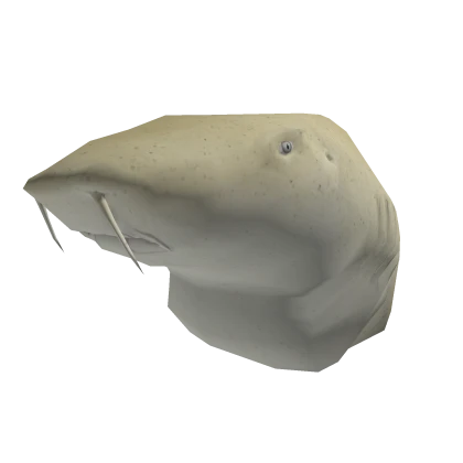 Realistic Nurse Shark Head